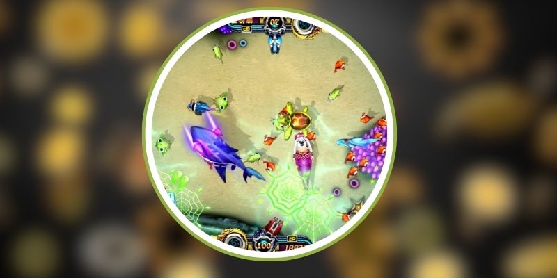 Bắn cá hiệu quả với các bước tham gia gia dễ dàng