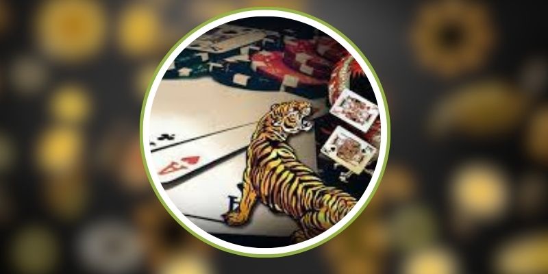 Giới thiệu về game chơi Rồng Hổ TK88