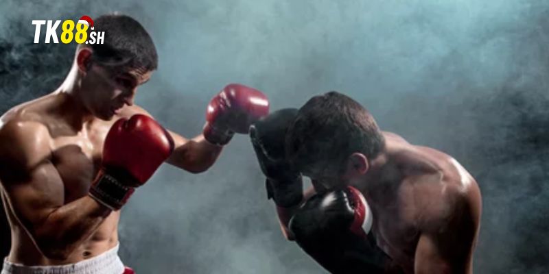 Phân tích chi tiết kèo chẵn/lẻ số hiệp quyền anh TK88