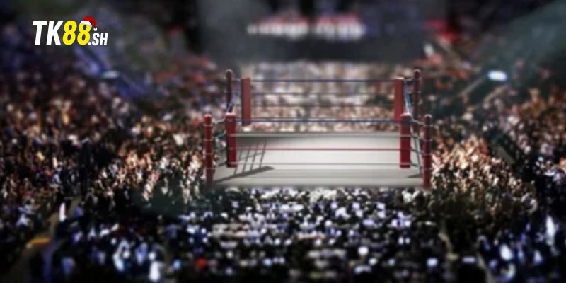 Bỏ qua yếu tố tâm lý và thể lực của các tay đấm tham gia trong trận