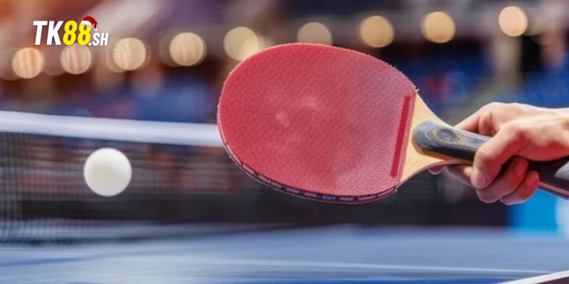 Theo dõi phong độ và thể lực của các tay vợt trong set bóng bàn